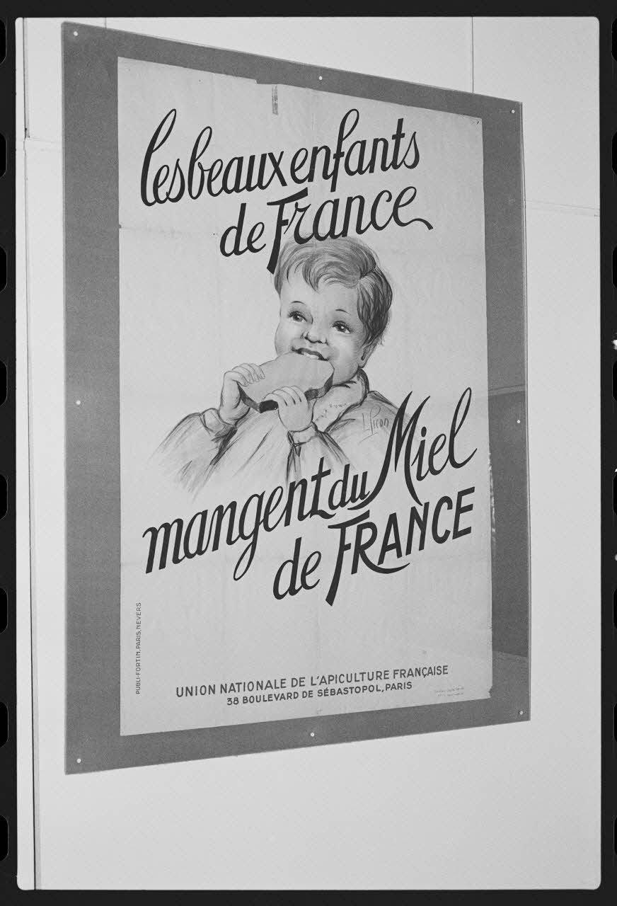 photographie MNATP. Exposition. L'abeille, l'homme, le miel et la cire (23 octobre 1981 - 28 mai 1982) Ph.1982.30.131 Photo