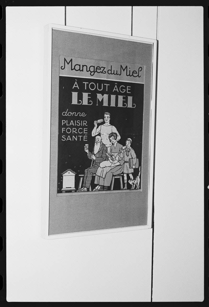 photographie MNATP. Exposition. L'abeille, l'homme, le miel et la cire (23 octobre 1981 - 28 mai 1982) Ph.1982.30.132 Photo