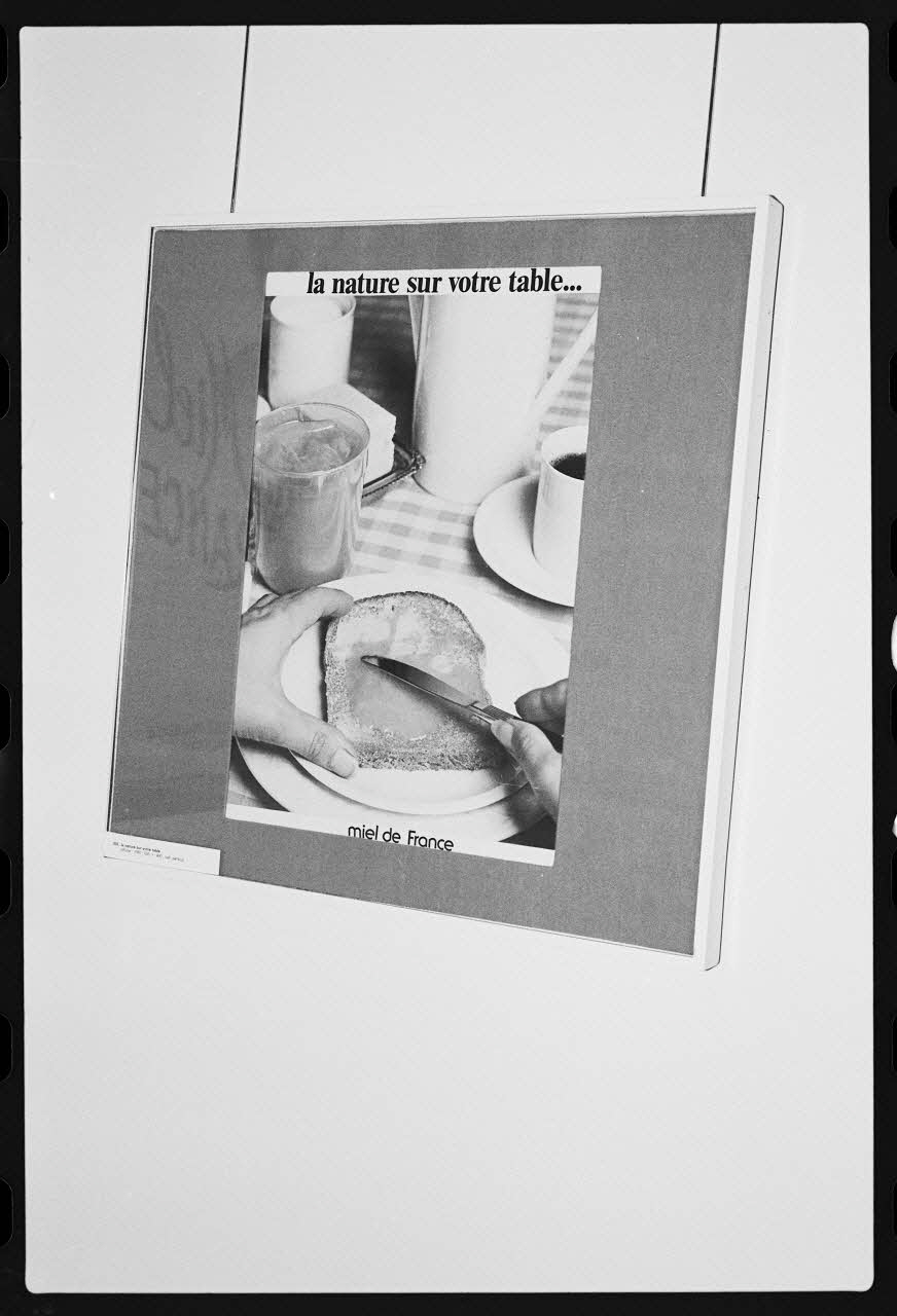 photographie MNATP. Exposition. L'abeille, l'homme, le miel et la cire (23 octobre 1981 - 28 mai 1982) Ph.1982.30.133 Photo