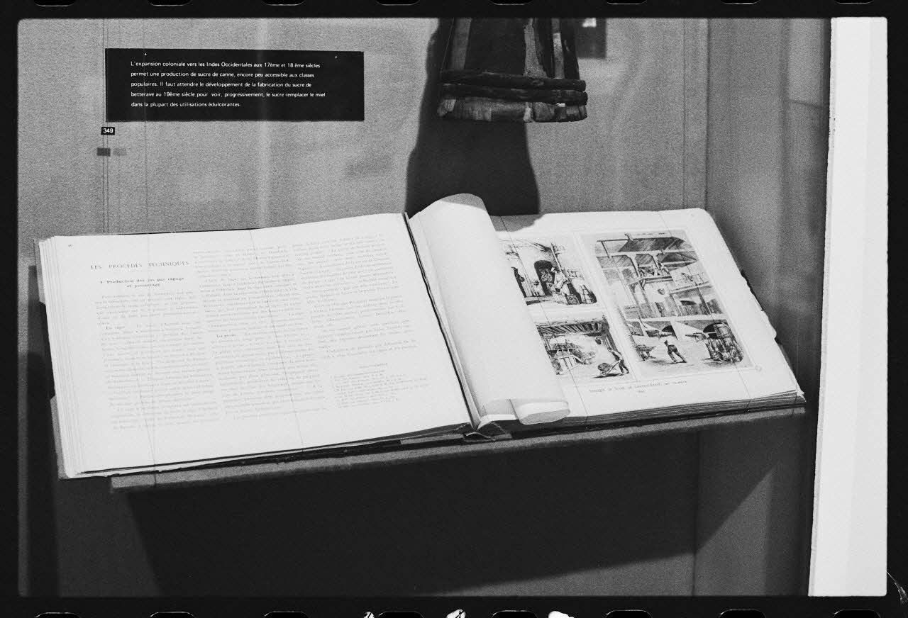 photographie MNATP. Exposition. L'abeille, l'homme, le miel et la cire (23 octobre 1981 - 28 mai 1982) Ph.1982.30.143 Photo