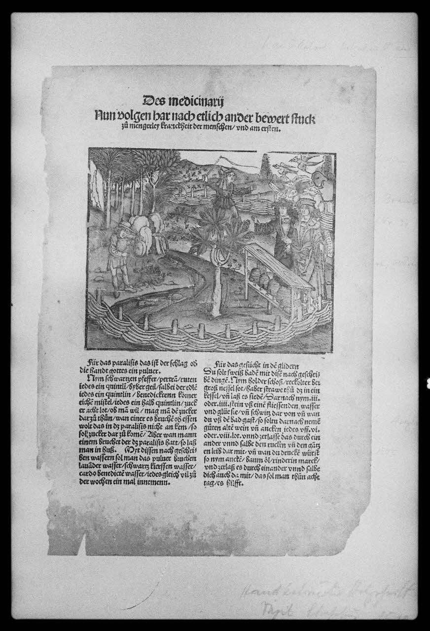 photographie MNATP. Exposition. L'abeille, l'homme, le miel et la cire (23 octobre 1981 - 28 mai 1982) Ph.1982.30.45 Photo