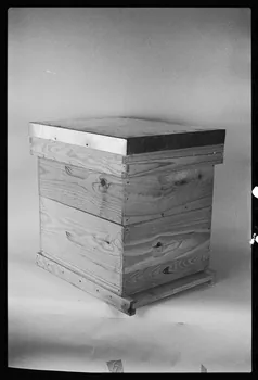 photographie MNATP. Exposition. L'abeille, l'homme, le miel et la cire (23 octobre 1981 - 28 mai 1982) Ph.1982.30.66 Photo
