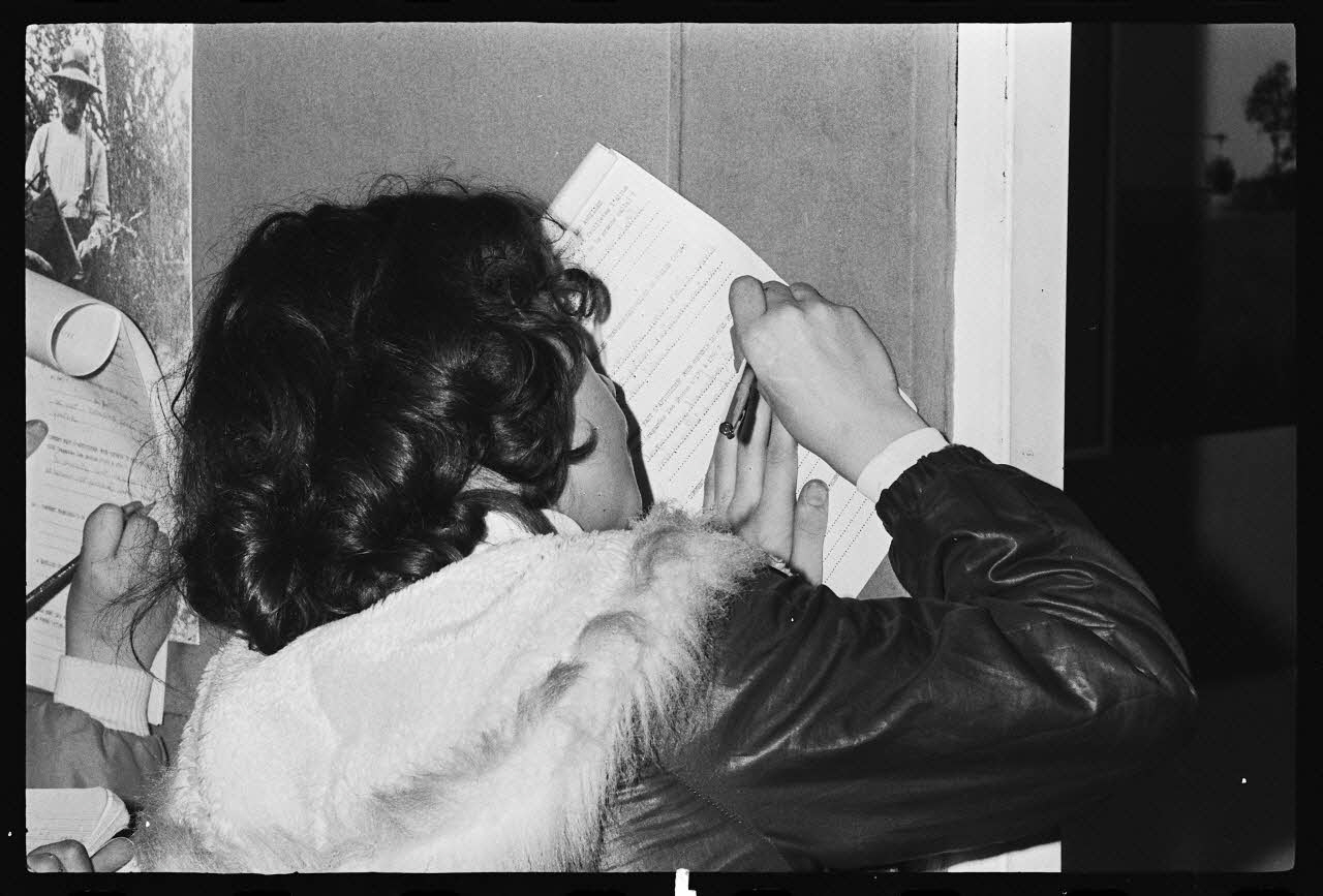 photographie MNATP. Exposition. L'abeille, l'homme, le miel et la cire (23 octobre 1981 - 28 mai 1982) Ph.1982.46.16 Photo