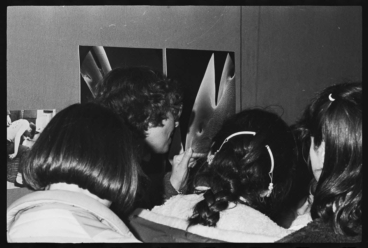 photographie MNATP. Exposition. L'abeille, l'homme, le miel et la cire (23 octobre 1981 - 28 mai 1982) Ph.1982.46.20 Photo