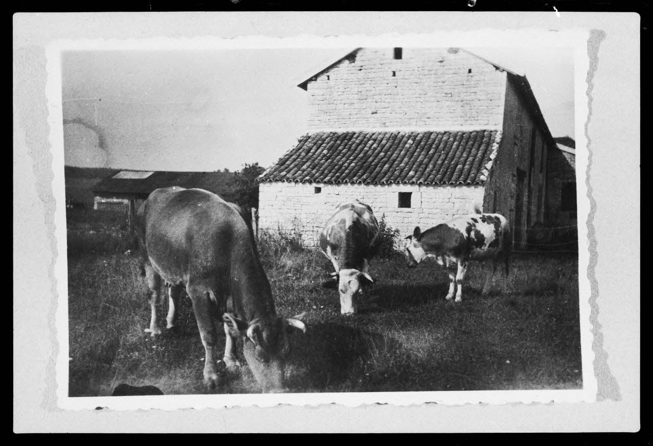 photographie Façade Est chez Monsieur Bouteille Ph.1982.67.6 Photo