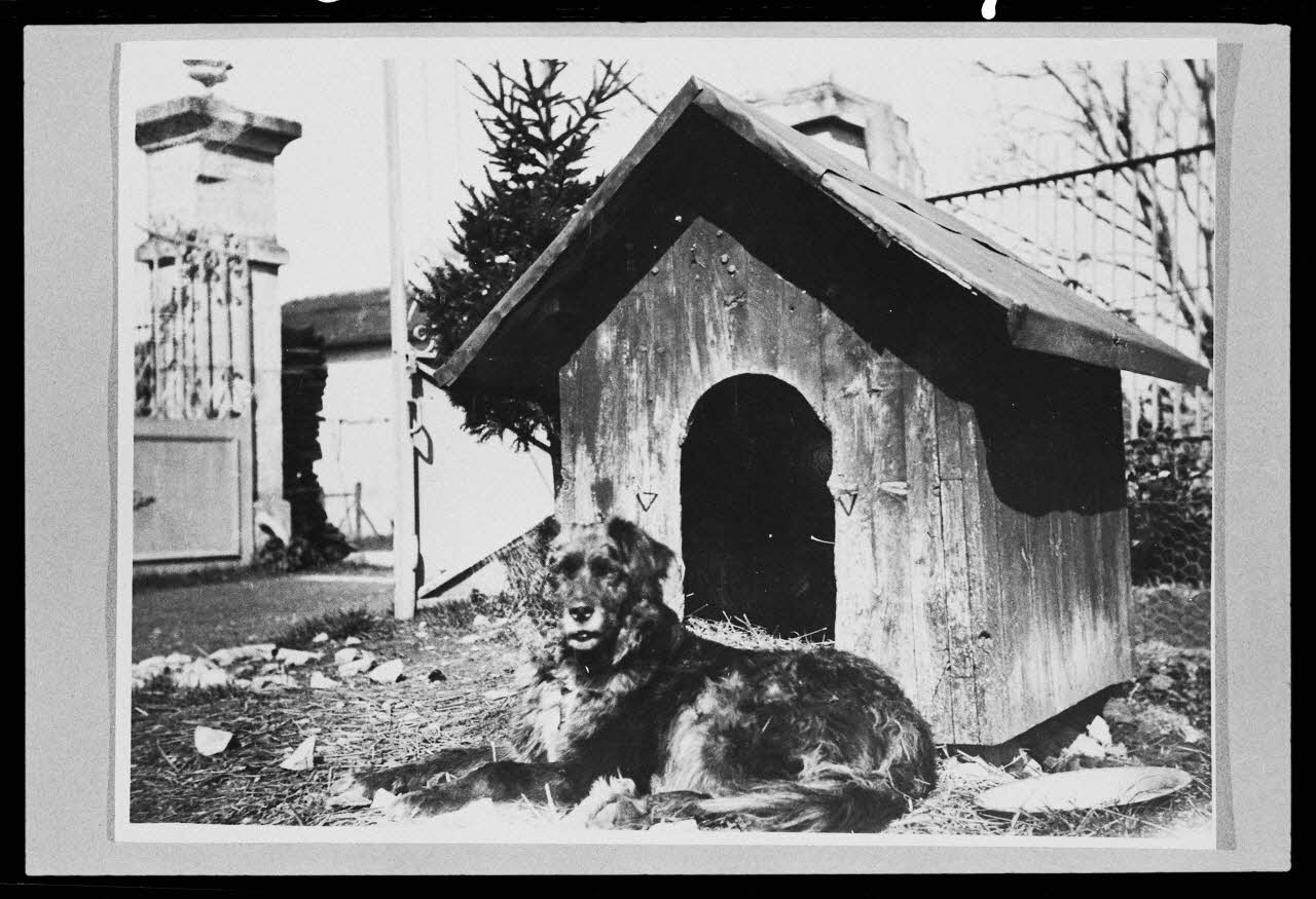 photographie Niche à chien dans le jardin de Monsieur Bouteille Ph.1982.67.7 Photo