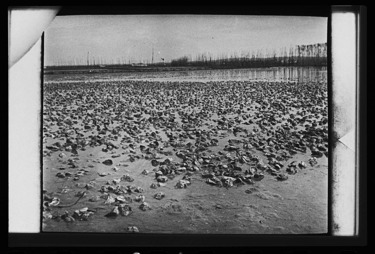 photographie MNATP. Chantier 1425. Enquête sur l'architecture rurale de la France (1968 - 1990) Ph.1982.338.24 Photo Mucem / Aventur, F.
