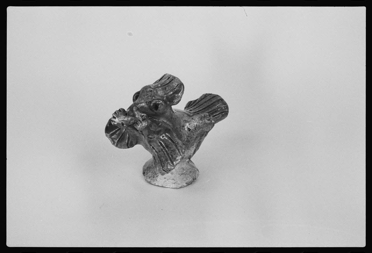 photographie Sifflet aviforme Ph.1983.1.10 Photo