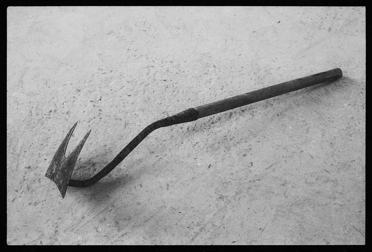 photographie MuCEM (Saint-Riquier). Réserves Ph.1983.1.218 Photo