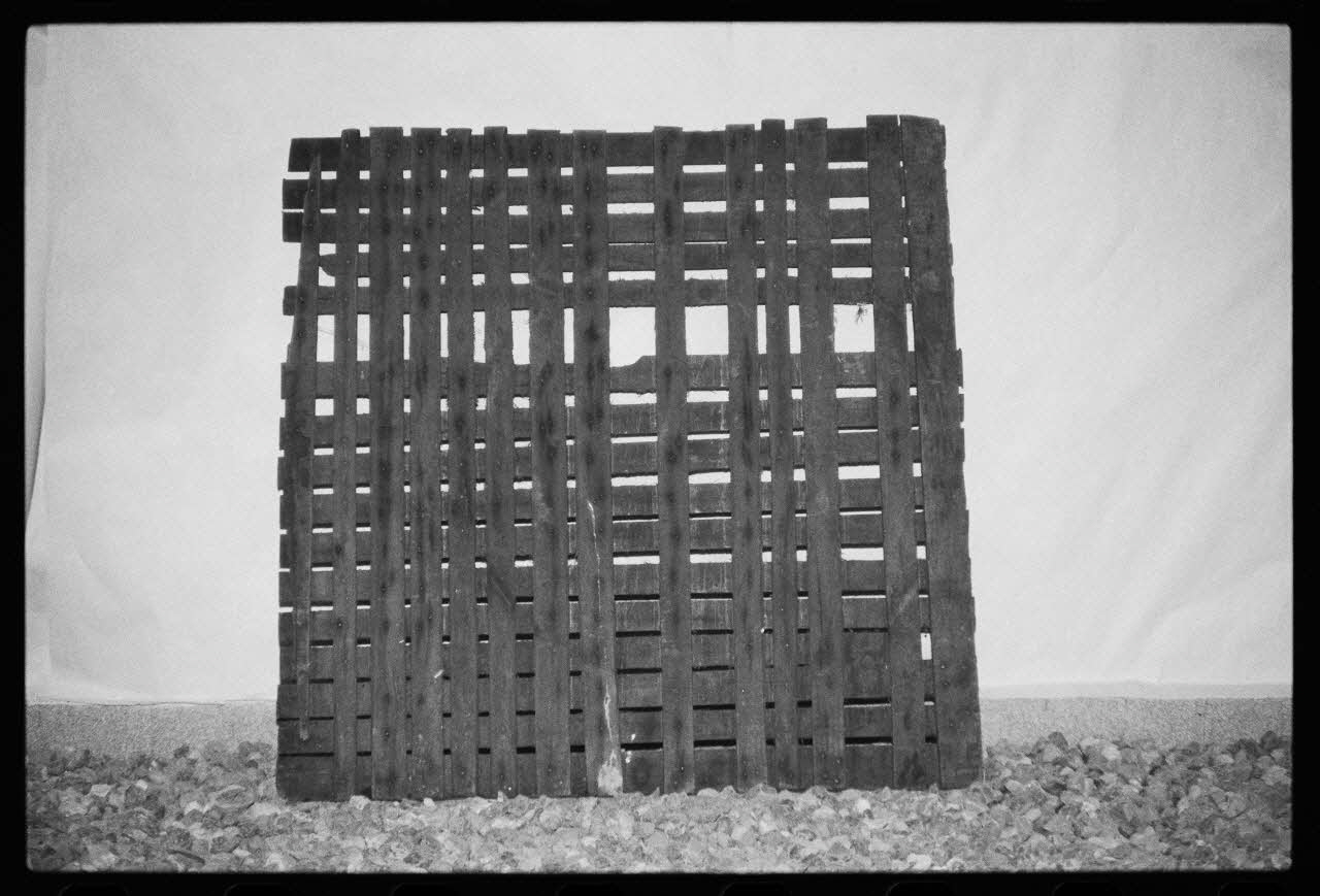 photographie Exposition. Outillages spécialisés pour la préparation du porc et la fabrication du cidre. Le 12 septembre 1982 Ph.1983.22.142 Photo