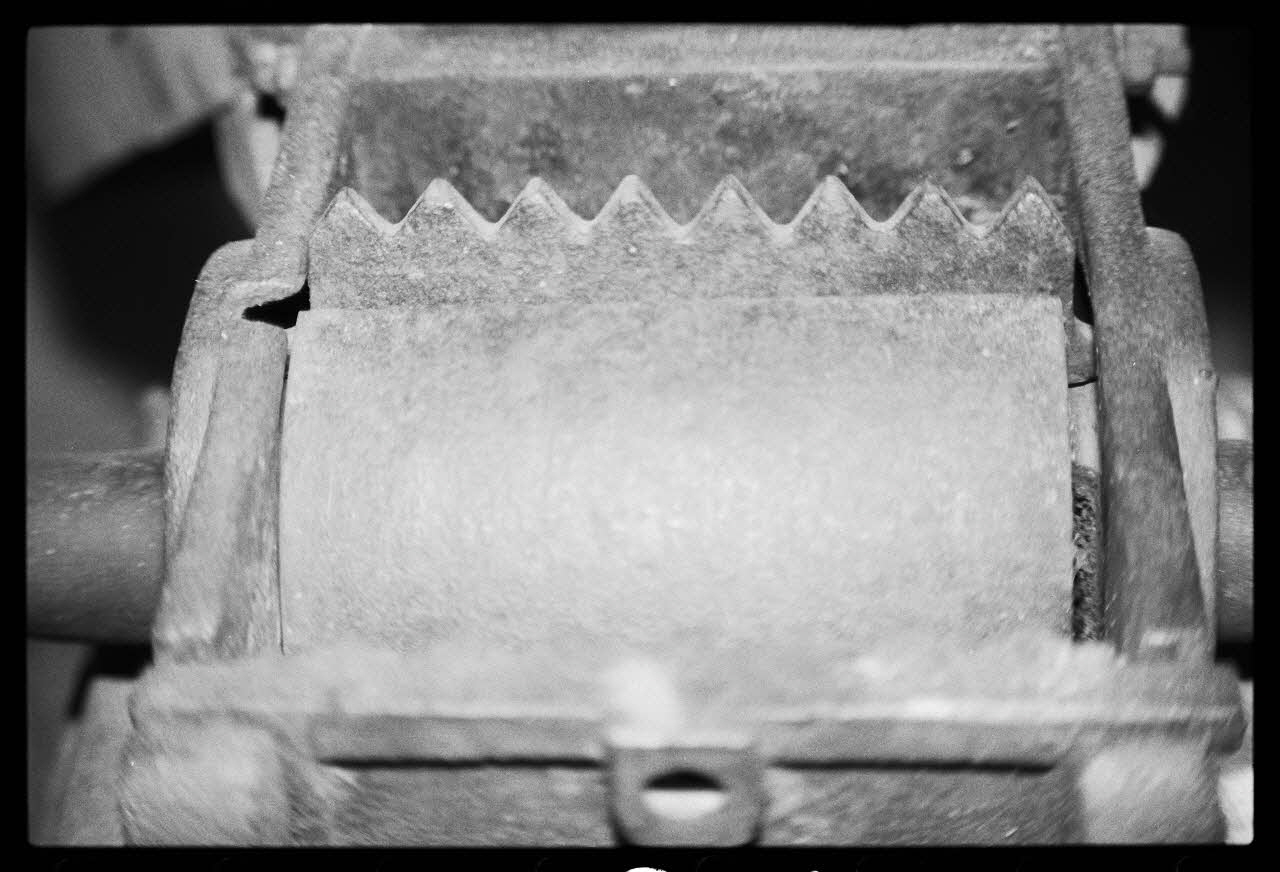 photographie Exposition. Outillages spécialisés pour la préparation du porc et la fabrication du cidre. Le 12 septembre 1982 Ph.1983.22.171 Photo