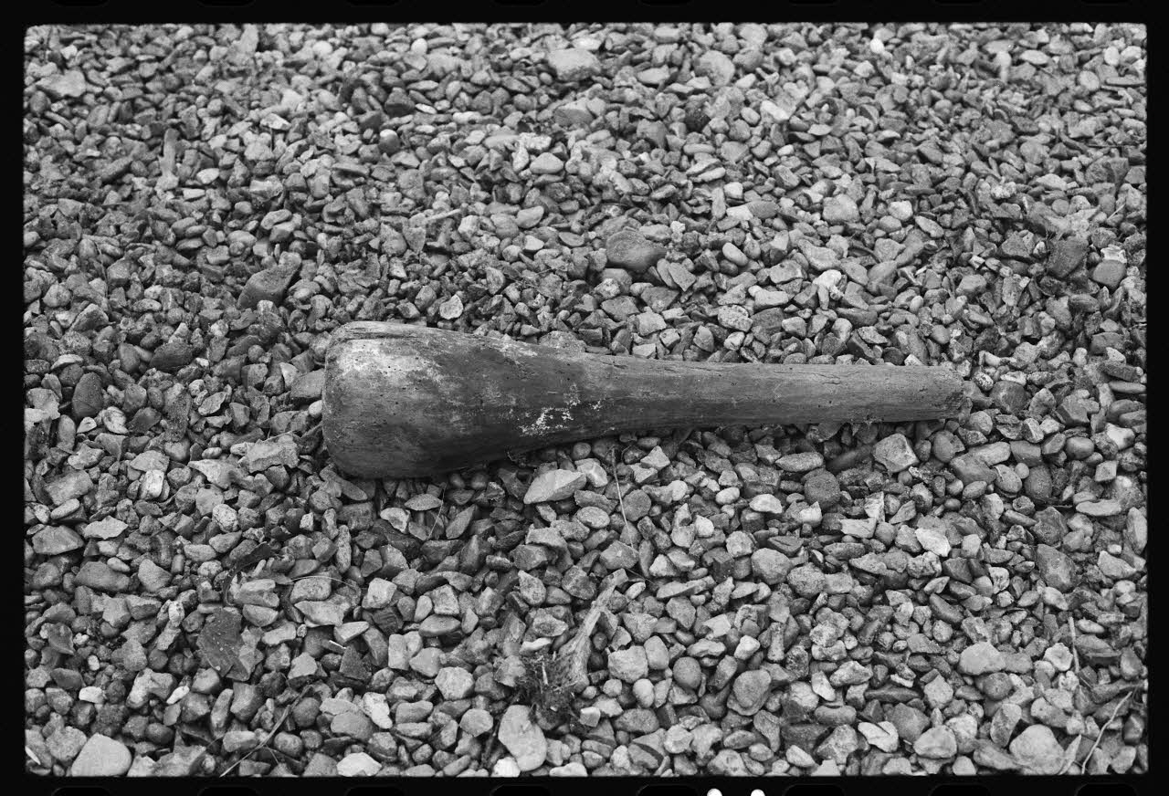 photographie Exposition. Outillages spécialisés pour la préparation du porc et la fabrication du cidre. Le 12 septembre 1982 Ph.1983.22.174 Photo