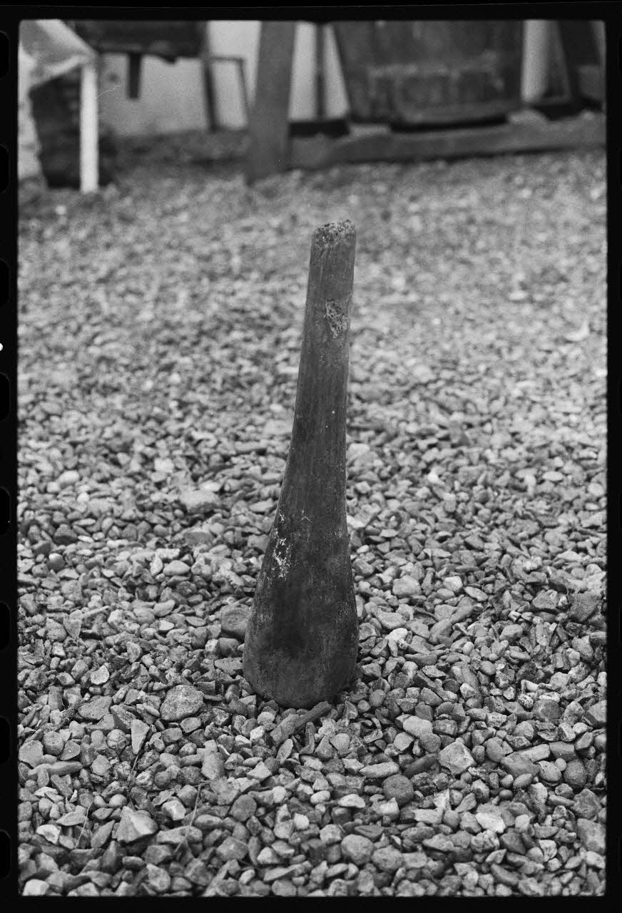 photographie Exposition. Outillages spécialisés pour la préparation du porc et la fabrication du cidre. Le 12 septembre 1982 Ph.1983.22.175 Photo