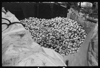 photographie Exposition. Outillages spécialisés pour la préparation du porc et la fabrication du cidre. Le 12 septembre 1982 Ph.1983.22.176  Photo