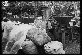 photographie Exposition. Outillages spécialisés pour la préparation du porc et la fabrication du cidre. Le 12 septembre 1982 Ph.1983.22.178  Photo