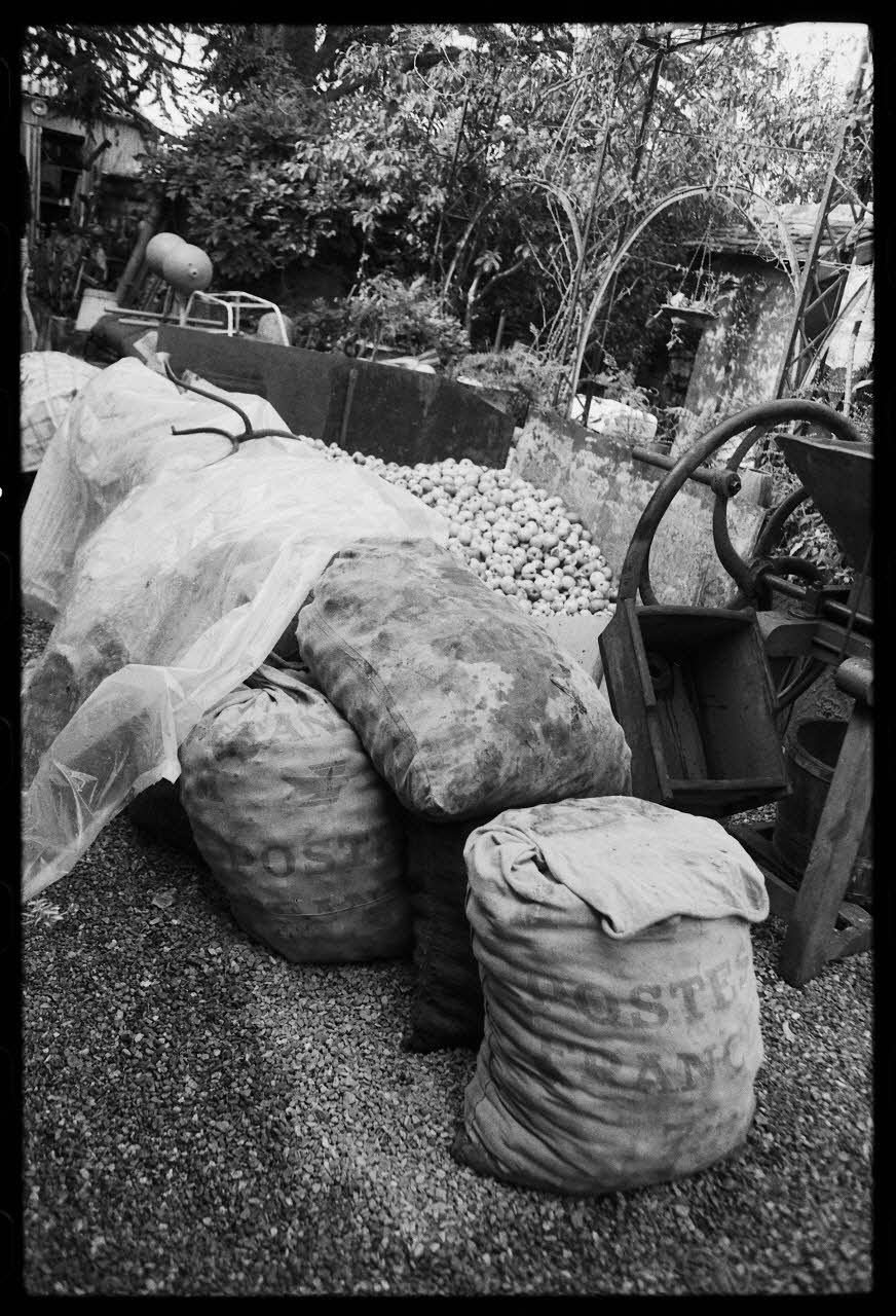 photographie Exposition. Outillages spécialisés pour la préparation du porc et la fabrication du cidre. Le 12 septembre 1982 Ph.1983.22.179 Photo