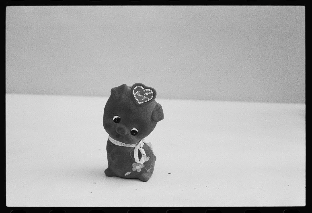 photographie Exposition. Outillages spécialisés pour la préparation du porc et la fabrication du cidre. Le 12 septembre 1982 Ph.1983.22.37 Photo