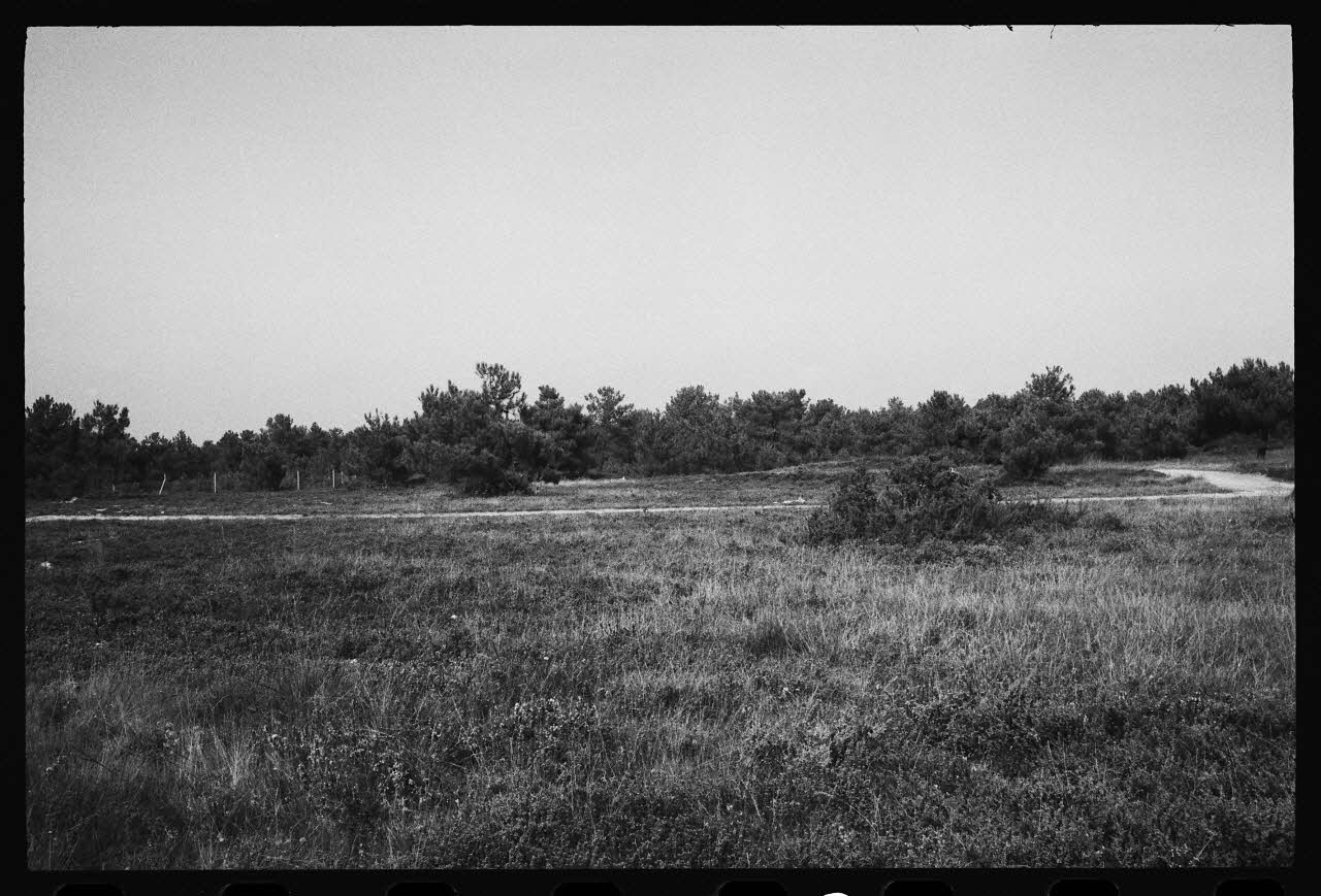Jean Cuisenier photographie Enquête conduite par Jean Cuisenier à la Foire de Lessay dans la Manche (8 et 9 septembre 1982) Basse-Normandie, France 1982/9/8 Ph.1983.29.10 Photo