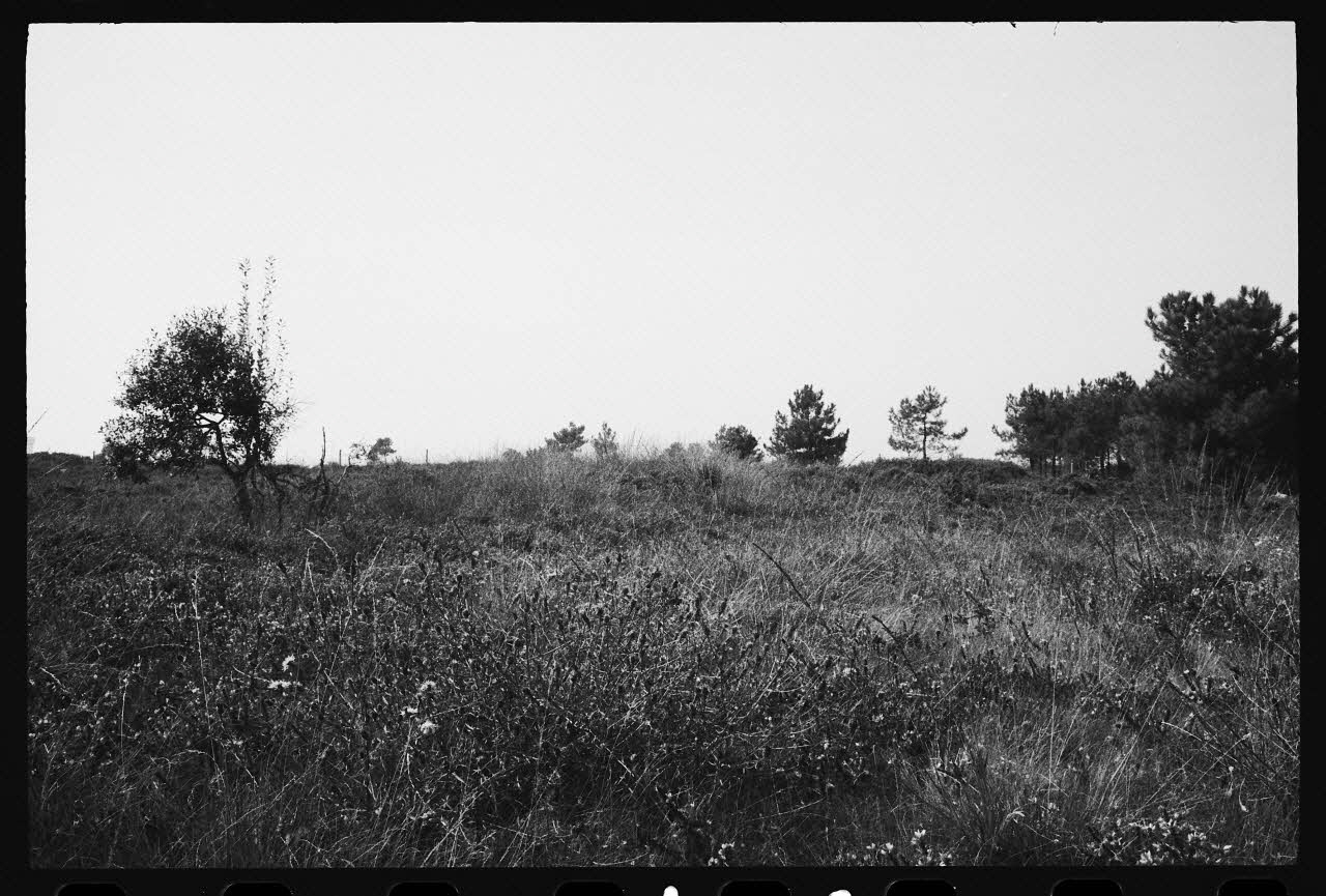 Jean Cuisenier photographie Enquête conduite par Jean Cuisenier à la Foire de Lessay dans la Manche (8 et 9 septembre 1982) Basse-Normandie, France 1982/9/8 Ph.1983.29.11 Photo