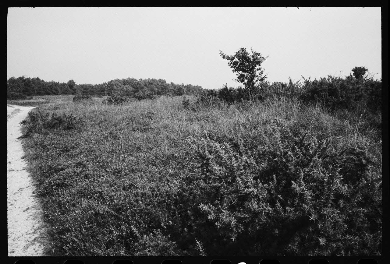 Jean Cuisenier photographie Enquête conduite par Jean Cuisenier à la Foire de Lessay dans la Manche (8 et 9 septembre 1982) Basse-Normandie, France 1982/9/8 Ph.1983.29.12 Photo