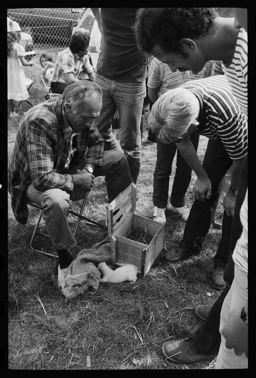 Jean Cuisenier photographie Enquête conduite par Jean Cuisenier à la Foire de Lessay dans la Manche (8 et 9 septembre 1982) Basse-Normandie, France 1982/9/8 Ph.1983.29.4 Photo