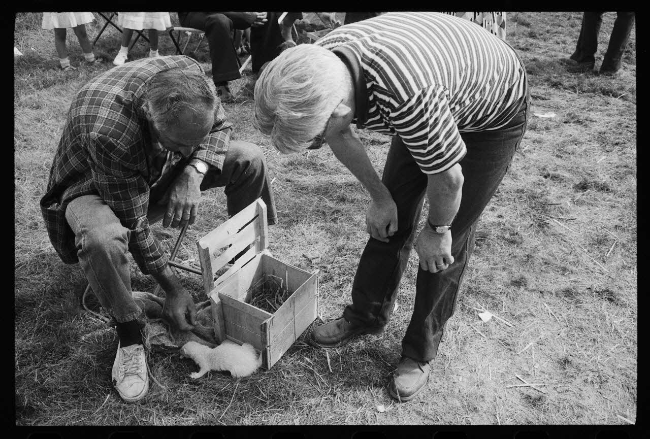 Jean Cuisenier photographie Enquête conduite par Jean Cuisenier à la Foire de Lessay dans la Manche (8 et 9 septembre 1982) Basse-Normandie, France 1982/9/8 Ph.1983.29.5 Photo