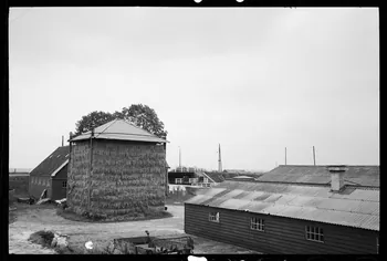 Jean Cuisenier photographie MNATP. Chantier 1425. Enquête sur l'architecture rurale de la France (1968 - 1990) Province de Hollande-Septentrionale, Pays-Bas 1982/7/3 Ph.1983.300.7 Photo
