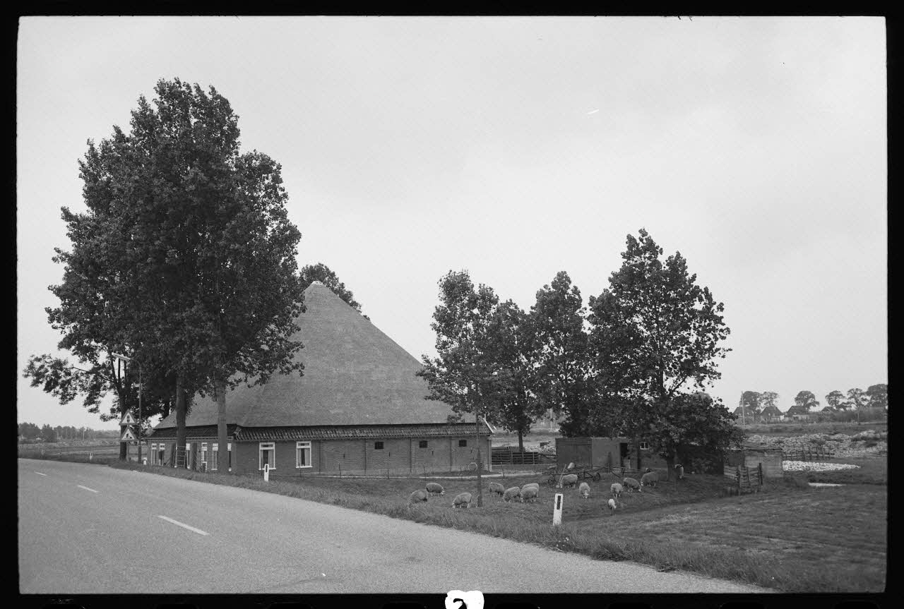 Jean Cuisenier photographie Enquête conduite par Jean Cuisenier aux Pays-Bas (du 3 au 10 juillet 1982) Province de Hollande-Septentrionale, Pays-Bas 1982/7/3 Ph.1983.300.9 Photo