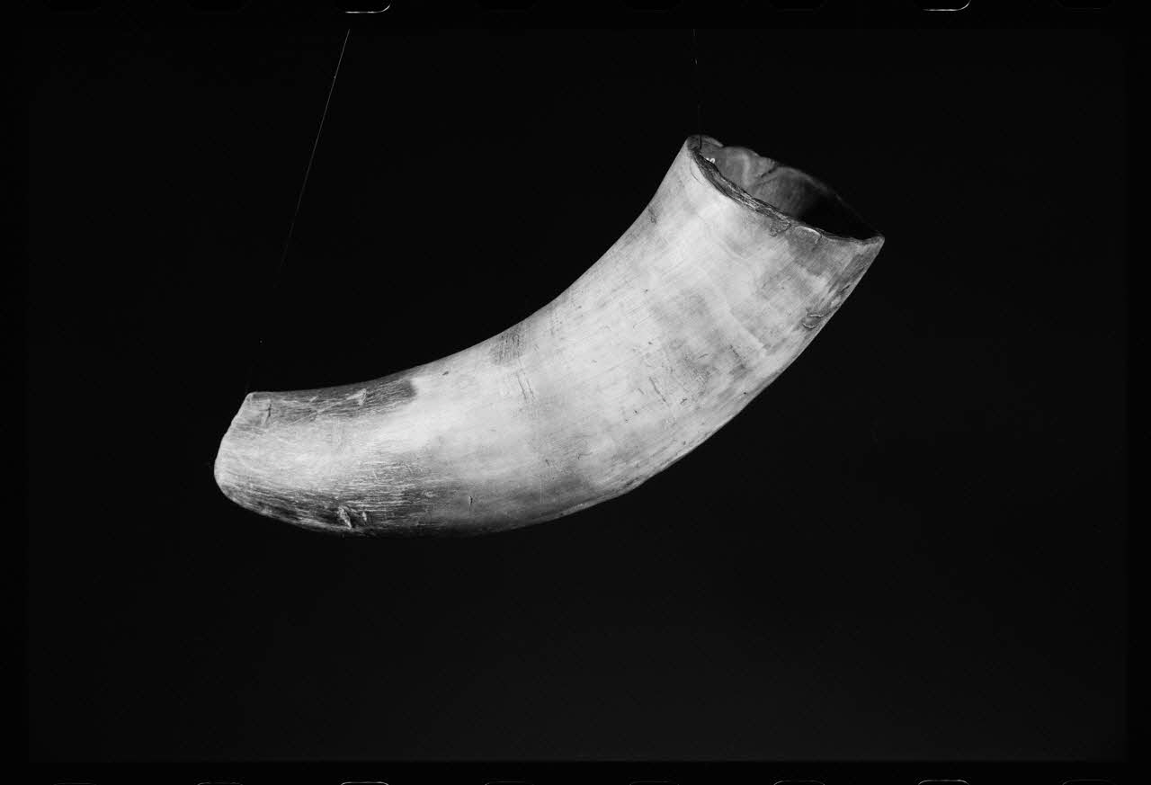 photographie Corne d'appel de berger pour les vaches Ph.1984.1.363 Photo