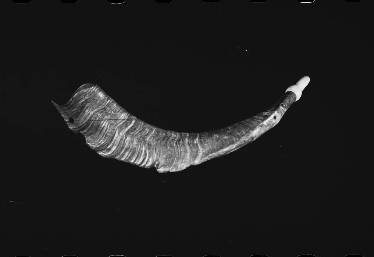 photographie Trompe d'appel de berger communal. Corne de bouc Ph.1984.1.364 Photo