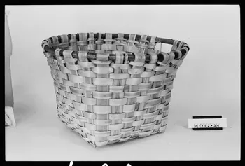 photographie Corbeille Ph.1984.1.493  Photo