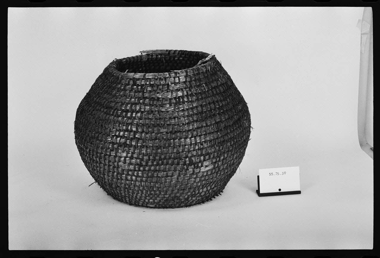 photographie Corbeille Ph.1984.1.498 Photo