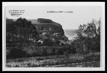 photographie Carte postale. Paysage et géosystème Ph.1984.45.66 Photo