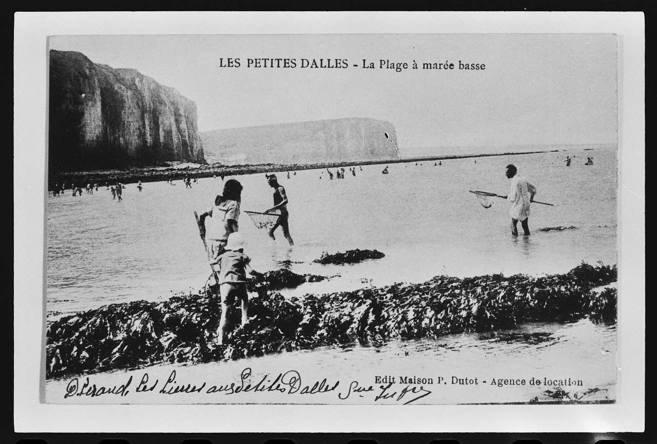 photographie "Les Petites Dalles. La plage à marée basse". Carte postale Ph.1984.53.26 Photo