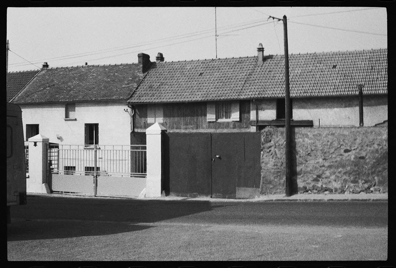 photographie MNATP. Enquête sur la culture des salades (juin 1984) Ph.1984.57.15 Photo