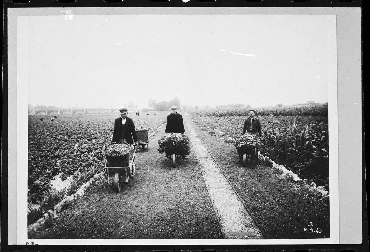 photographie Archives départementales de Nanterre. Cultivateur dans un jardin potager Ph.1984.7.3  Photo