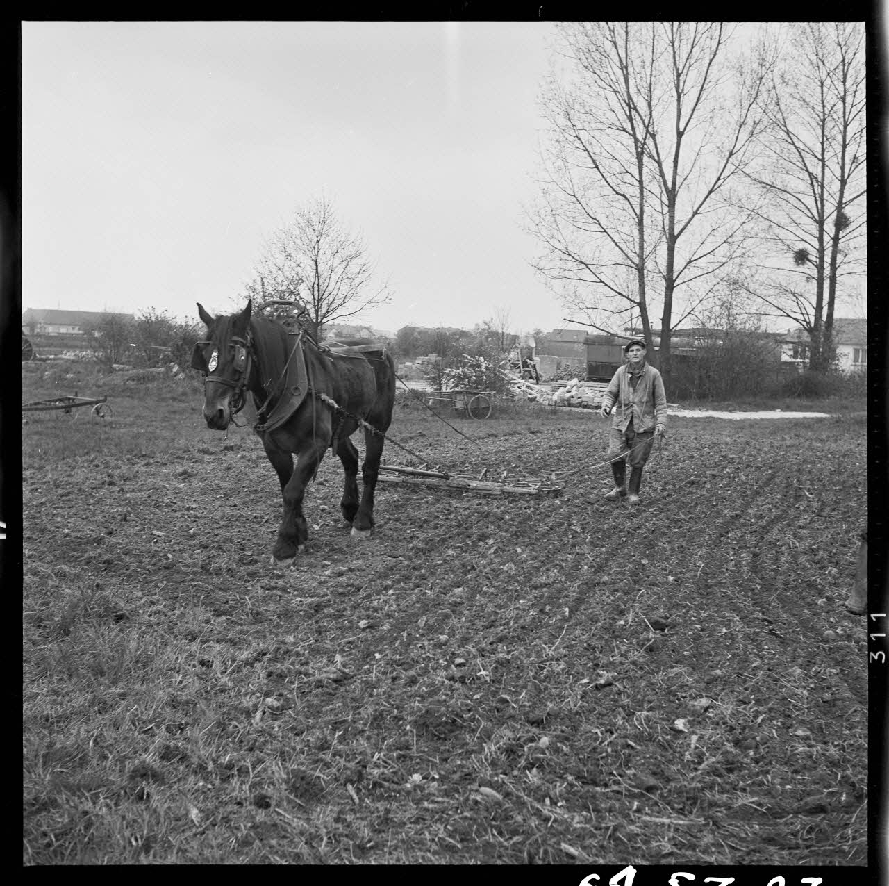 Jacques Marthelot photographie Monsieur Alfred Guyot au travail Picardie, France 1964/4/24 Ph.1964.53.27 Photo
