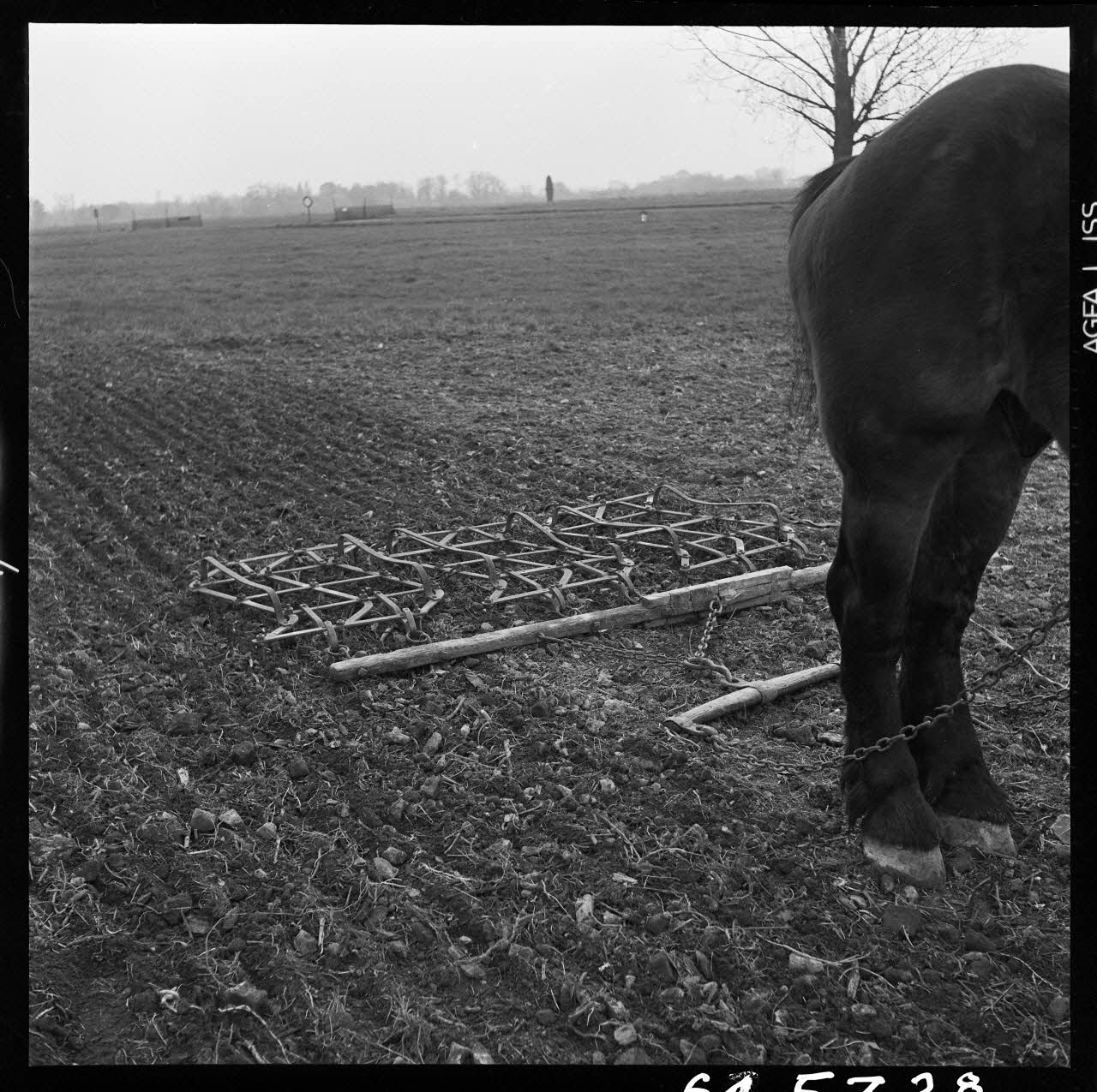 Jacques Marthelot photographie Herse attelée Picardie, France 1964/4/24 Ph.1964.53.28 Photo