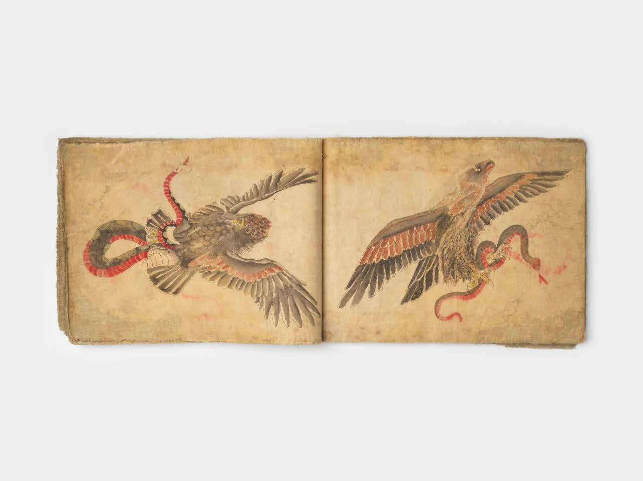 LIVRE D'ILLUSTRATION Carnet de modèles de tatouages 1963.150.2.1-45  Photo Mucem/ Yves Inchierman
