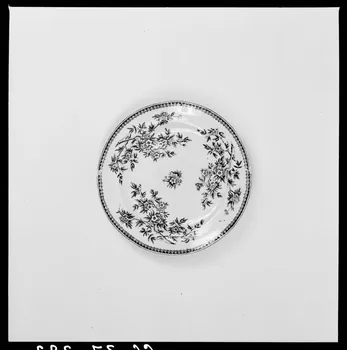 Alain Guey photographie Assiette avec fleurettes Ile-de-France, France 1966/7/1-1966/8/31 Ph.1966.37.323 Photo