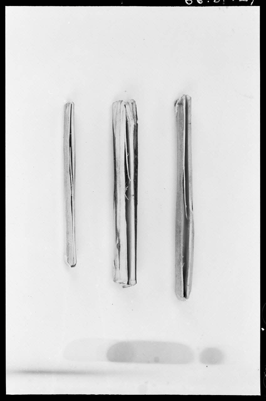 Alain Guey photographie Anches battantes Ile-de-France, France 1966/3/1 Ph.1966.51.27 Photo