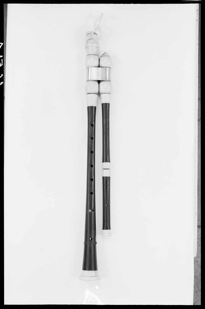 Alain Guey photographie Bois de cabrette Ile-de-France, France 1966/3/1 Ph.1966.51.4 Photo