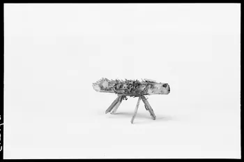Alain Guey photographie Jouet. Animal. Provenant d'Ille-et-Vilaine Ile-de-France, France 1967/1/1 Ph.1967.20.9 Photo