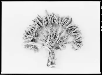 Alain Guey photographie Bouquet de moisson avec épis de blé et ruban rouge Ile-de-France, France 1968/3/1 Ph.1968.3.405 Photo
