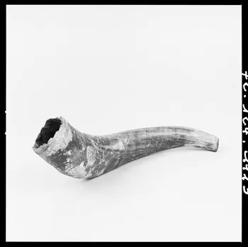 Réunion des musées nationaux - Grand Palais photographie Corne de charivari France 1972 Ph.1972.124.1115 Photo