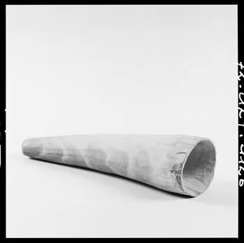 Réunion des musées nationaux - Grand Palais photographie Trompe France 1972 Ph.1972.124.1126 Photo