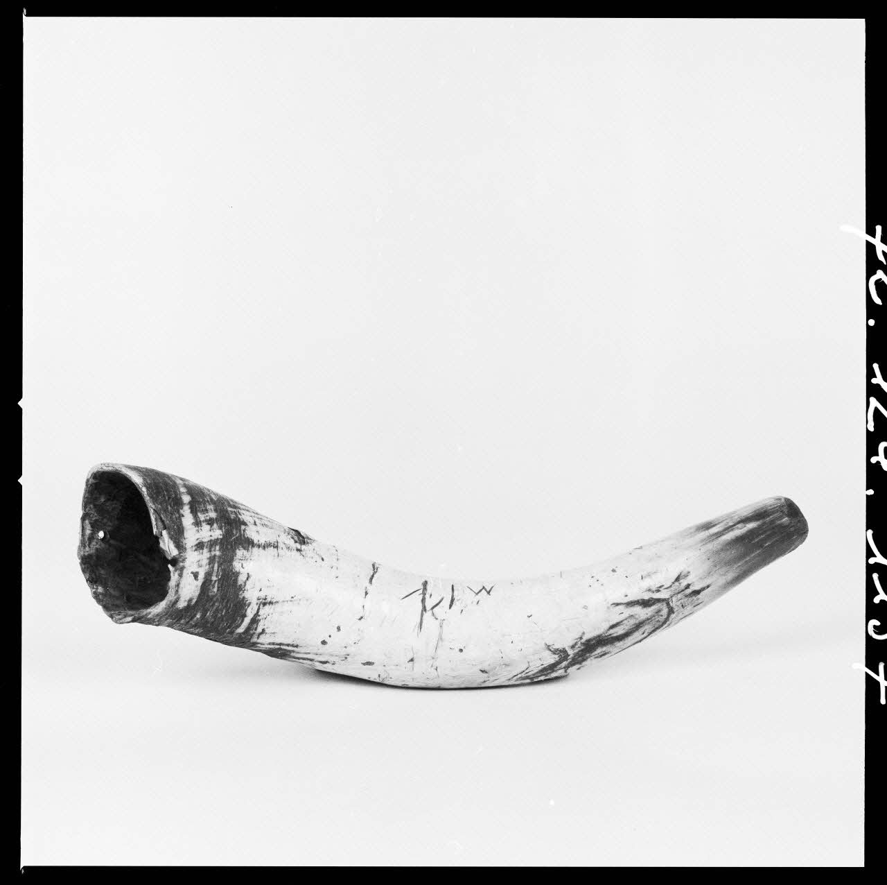 Réunion des musées nationaux - Grand Palais photographie Instrument de musique réalisé à partir d'une corne de bovin France 1972 Ph.1972.124.1157 Photo