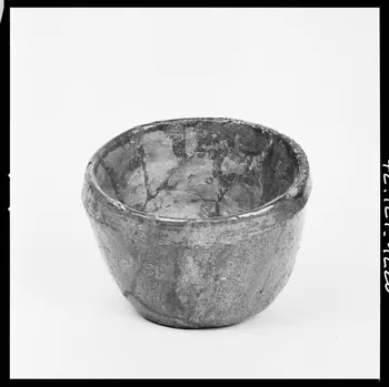 Réunion des musées nationaux - Grand Palais photographie Pot à fleurs France 1972 Ph.1972.124.1220 Photo