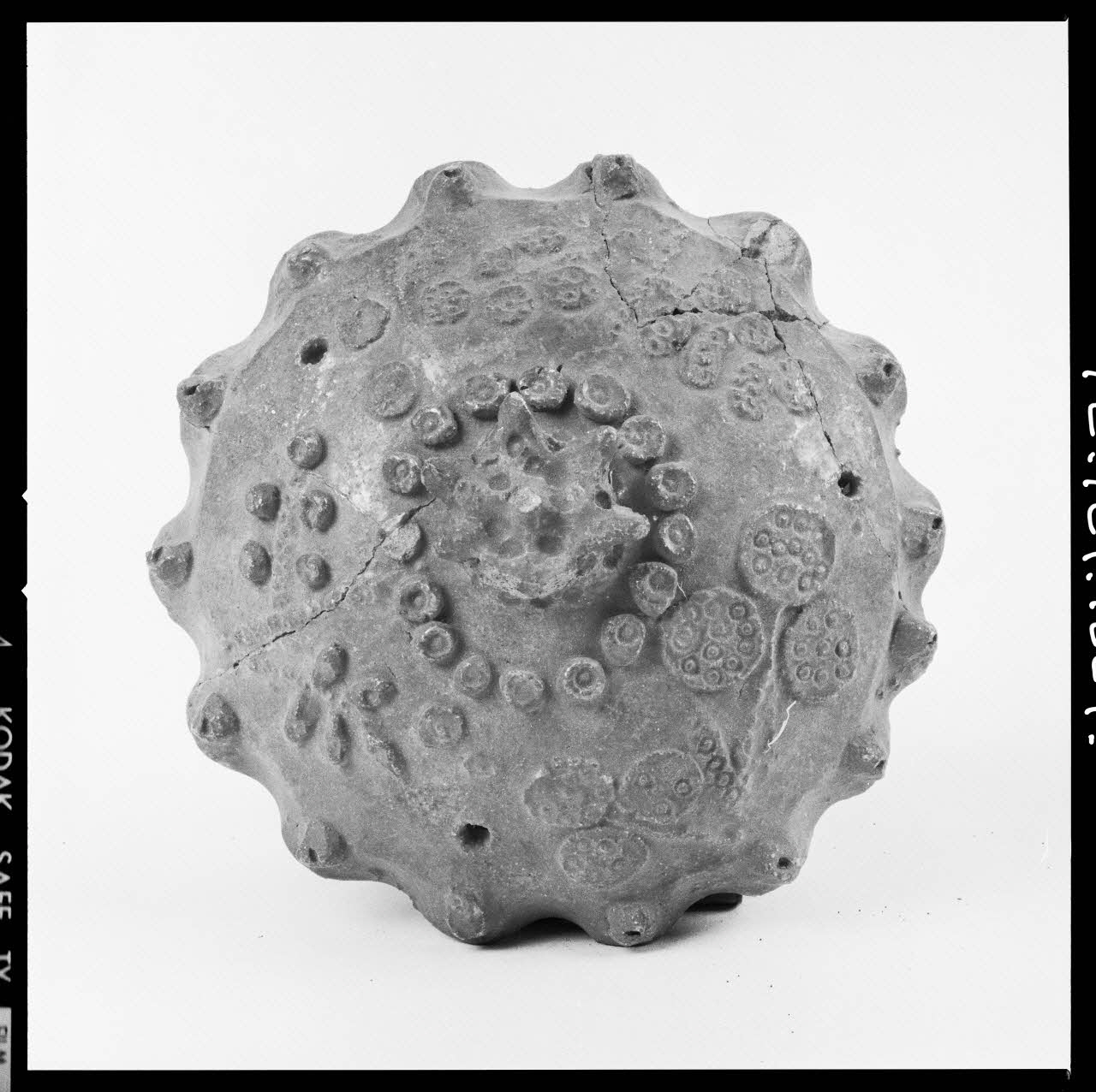 Réunion des musées nationaux - Grand Palais photographie Suspension France 1972 Ph.1972.124.1224 Photo