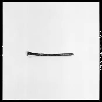 Réunion des musées nationaux - Grand Palais photographie Clou France 1972 Ph.1972.124.821 Photo